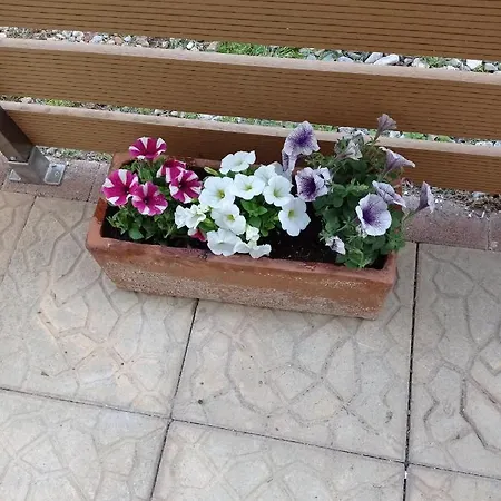 Angela's Seaside Luxury Flat